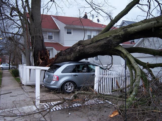 Storm Damage
